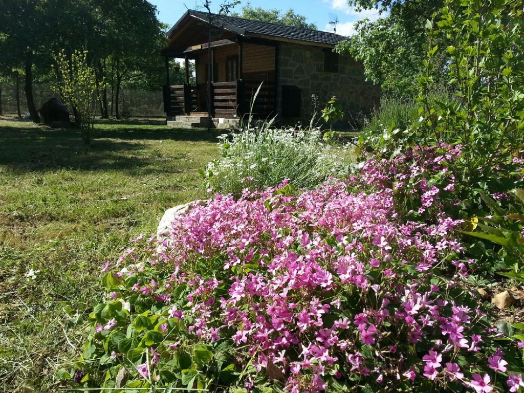 Cabanas Vallecino Manzanal de los Infantes Exteriör bild