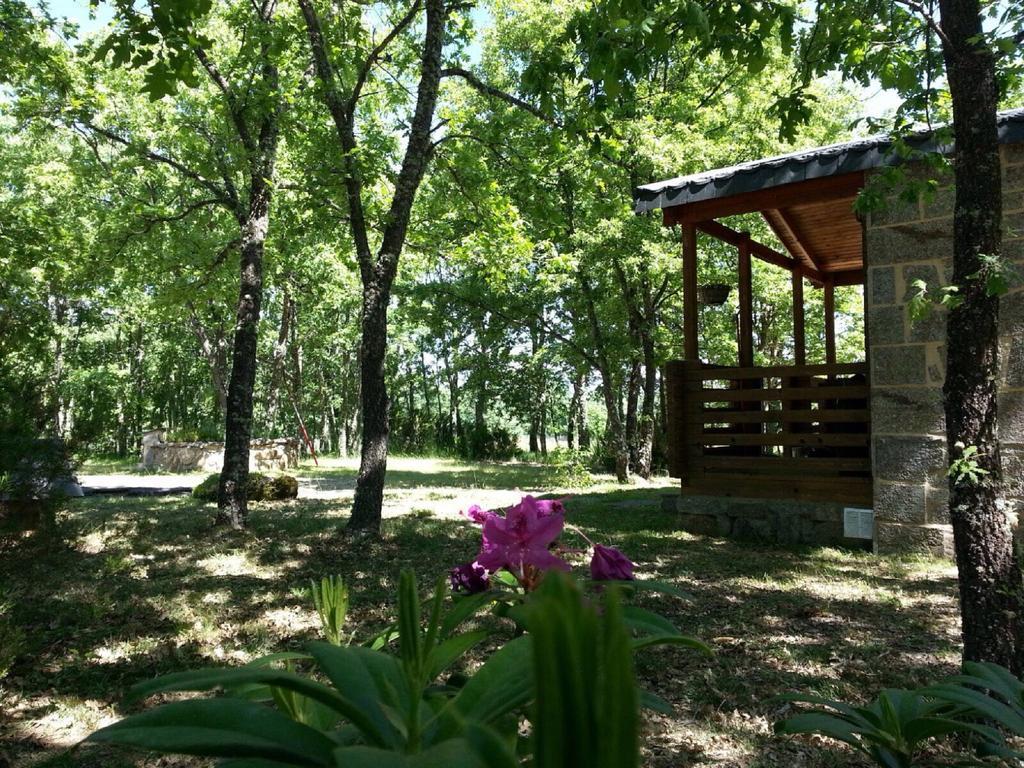 Cabanas Vallecino Manzanal de los Infantes Exteriör bild