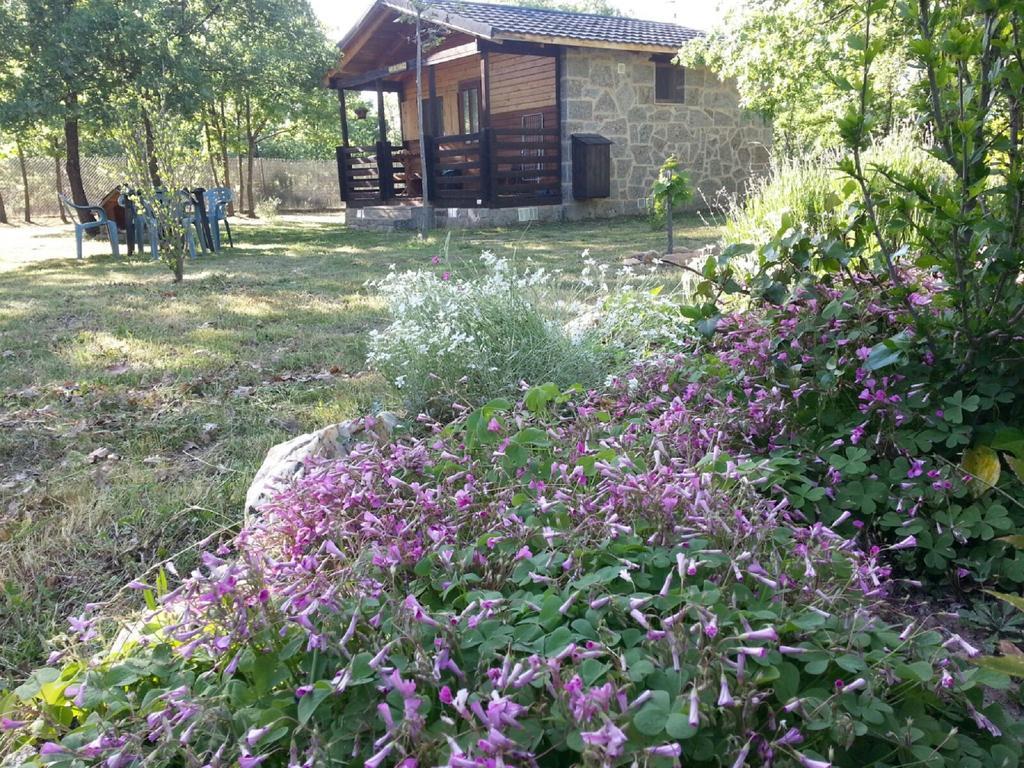 Cabanas Vallecino Manzanal de los Infantes Exteriör bild