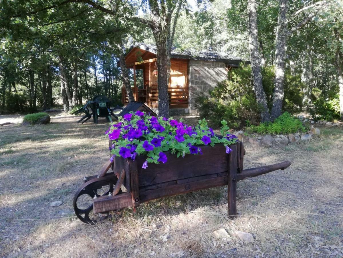 Cabanas Vallecino Manzanal de los Infantes Exteriör bild