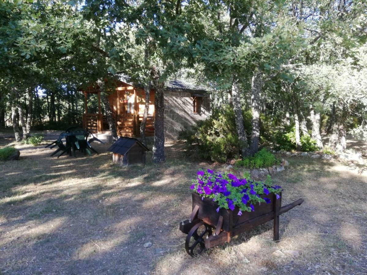 Cabanas Vallecino Manzanal de los Infantes Exteriör bild