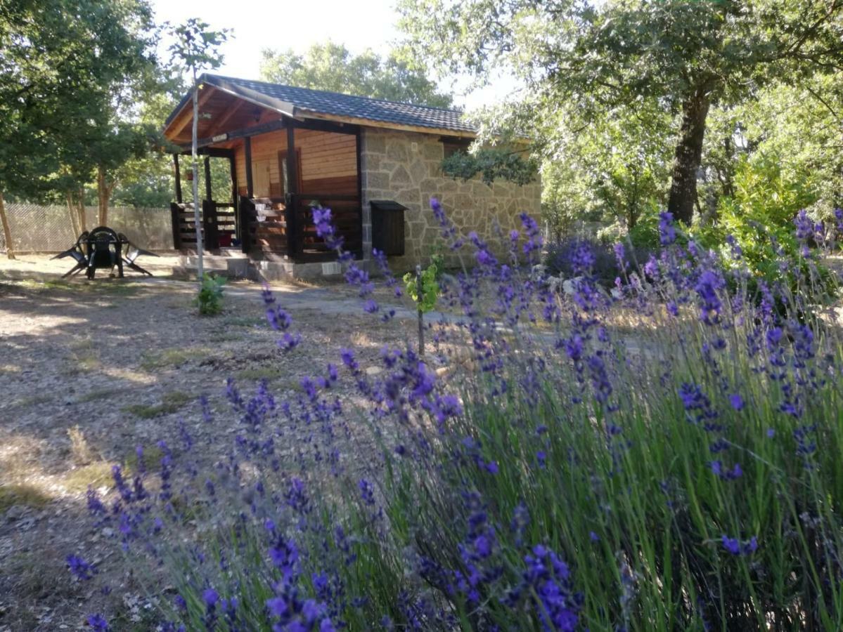 Cabanas Vallecino Manzanal de los Infantes Exteriör bild