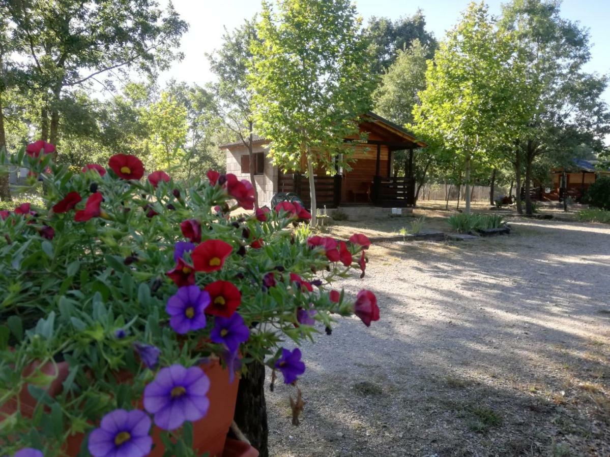 Cabanas Vallecino Manzanal de los Infantes Exteriör bild