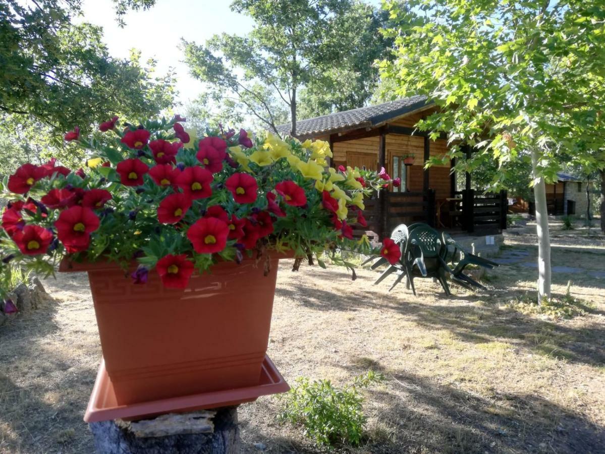 Cabanas Vallecino Manzanal de los Infantes Exteriör bild